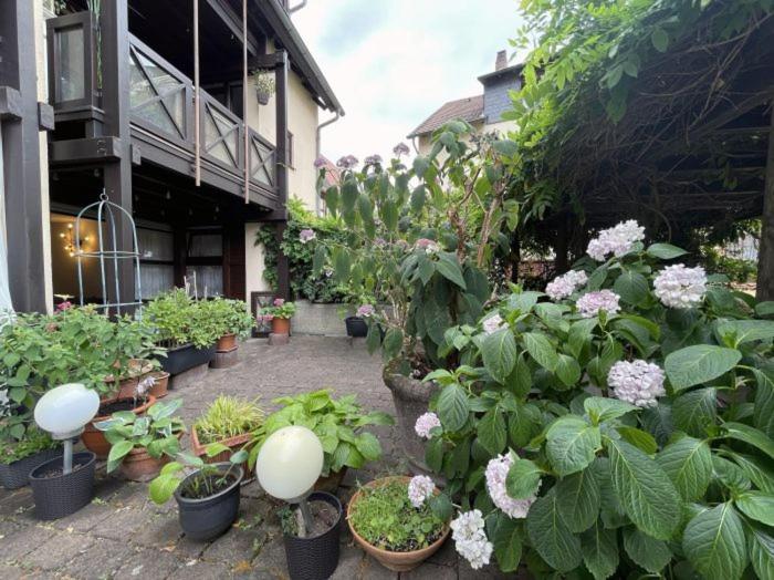 Apartment Gerberbachviertel Weinheim Dış mekan fotoğraf