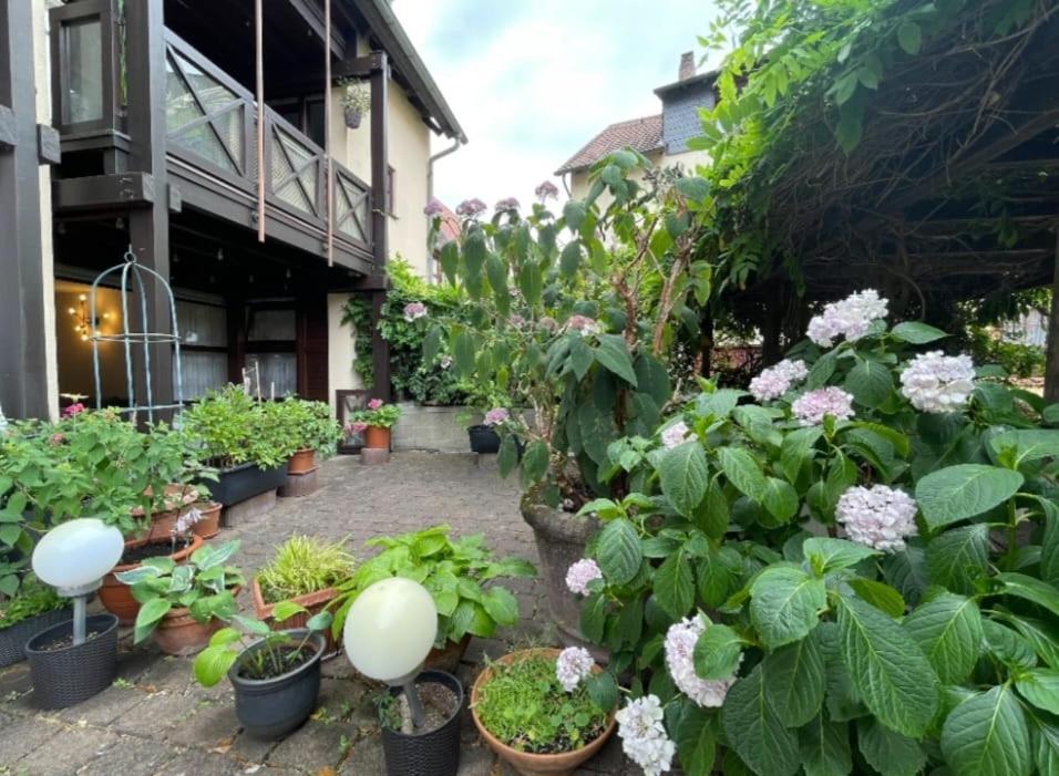 Apartment Gerberbachviertel Weinheim Dış mekan fotoğraf